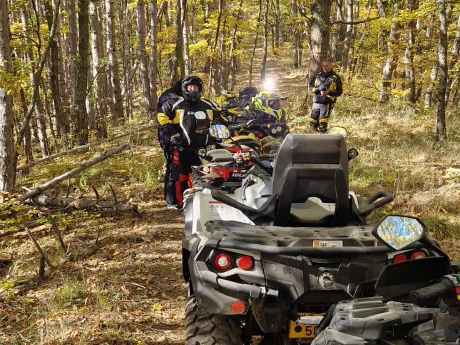 ATVs in single file on a golden forest trail