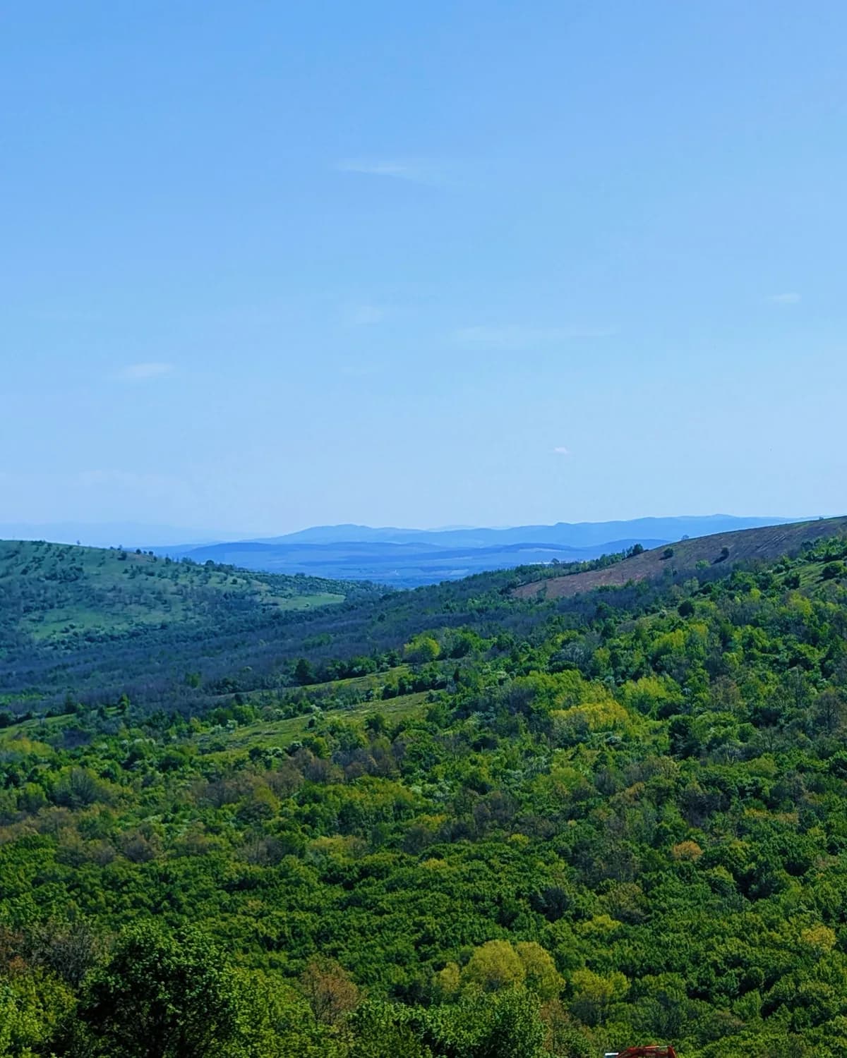 Bright green spring hills and broadleaf forest rolling away under a clear blue sky