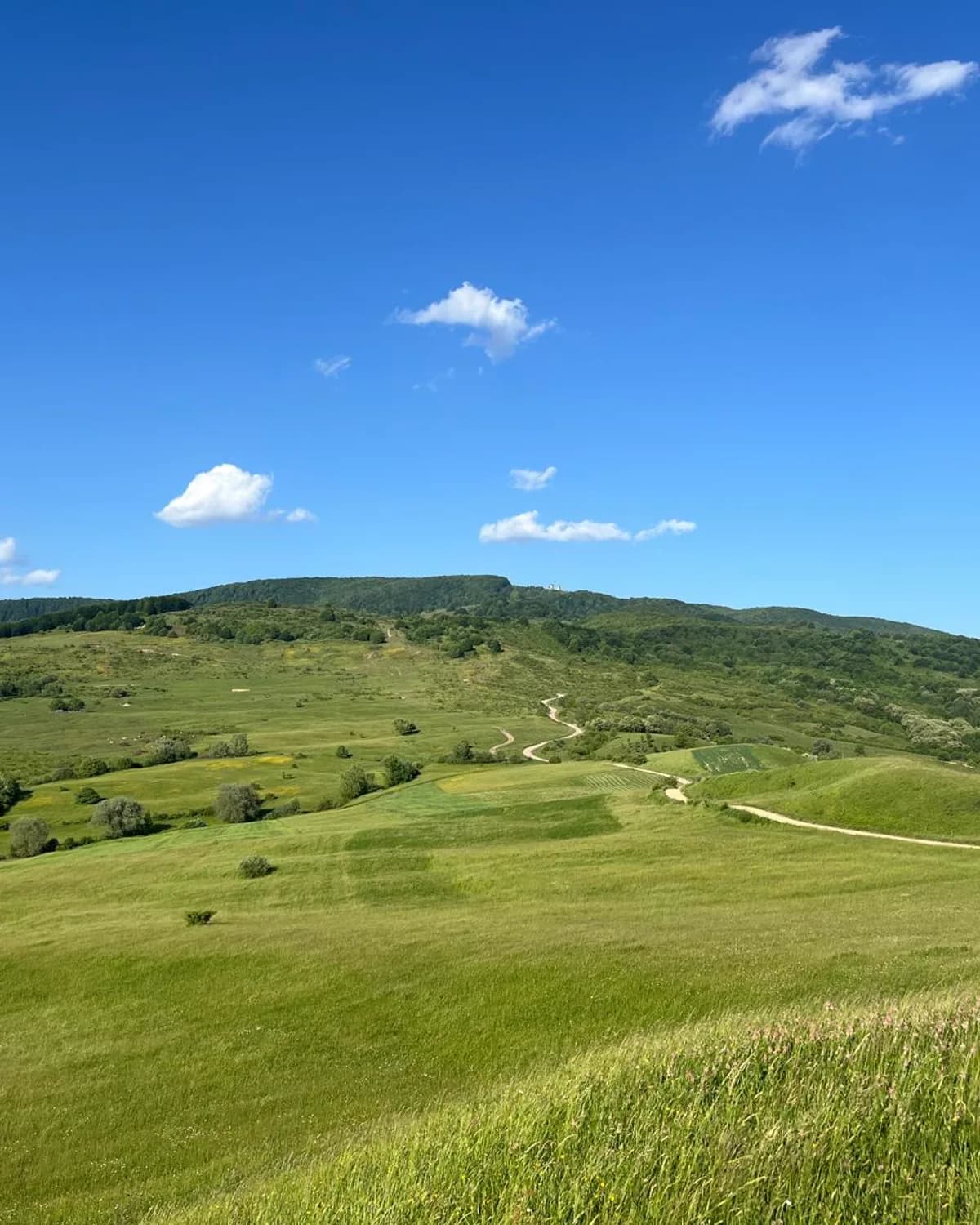 A dirt trail winding through green summer hills